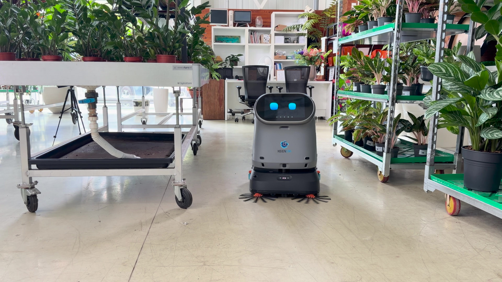 Robot KEENON C40 pri upratovaní prevádzky kvetinárstva